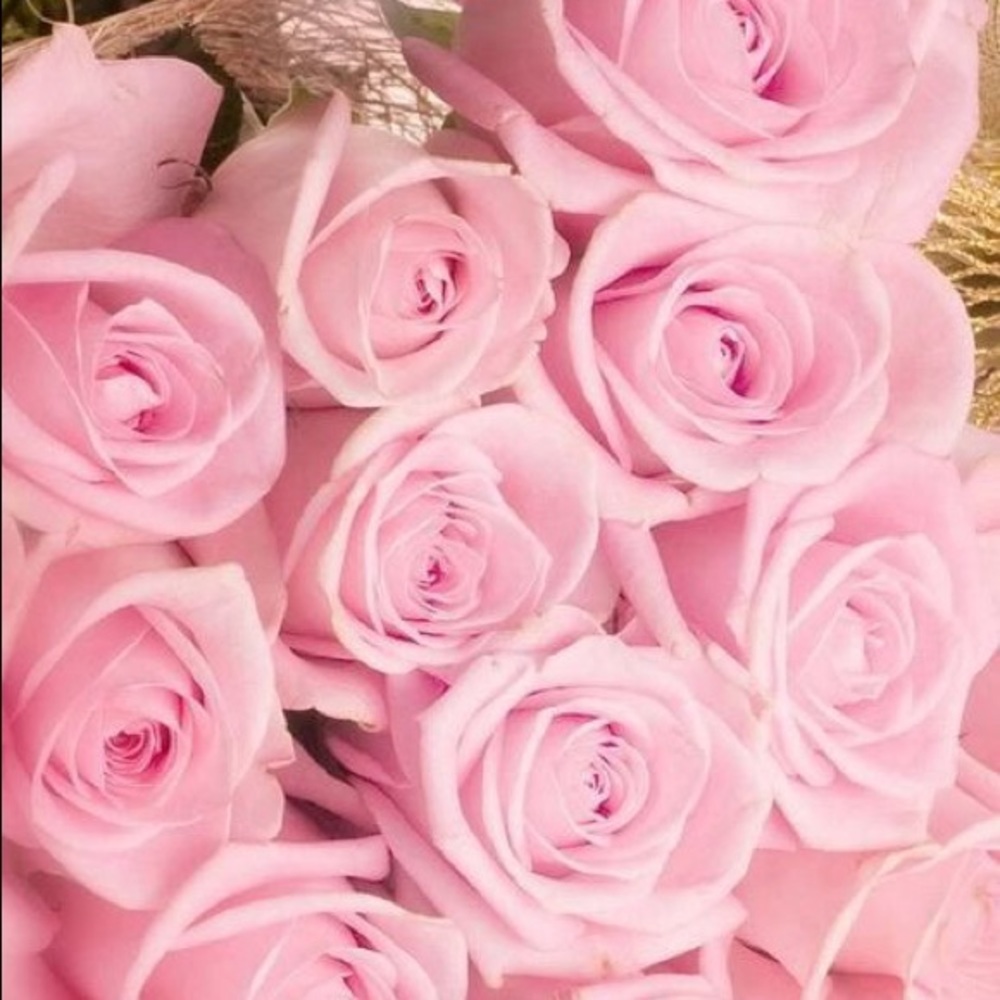 Pink  🥀
